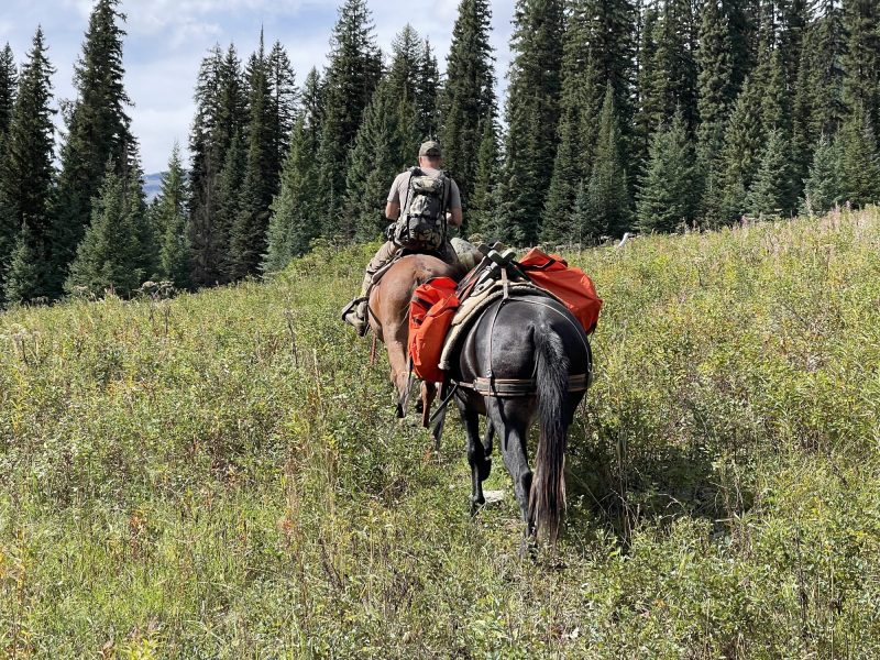 off-grid-adventures-horses-IMG_2508-2000px-c82