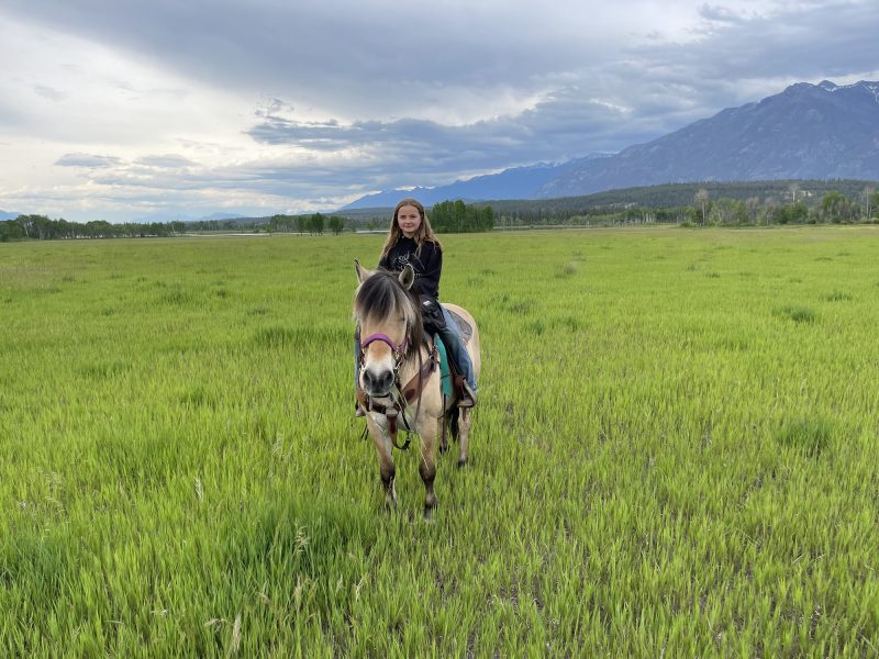 off-grid-adventures-horses-IMG_6490-2000px-c82